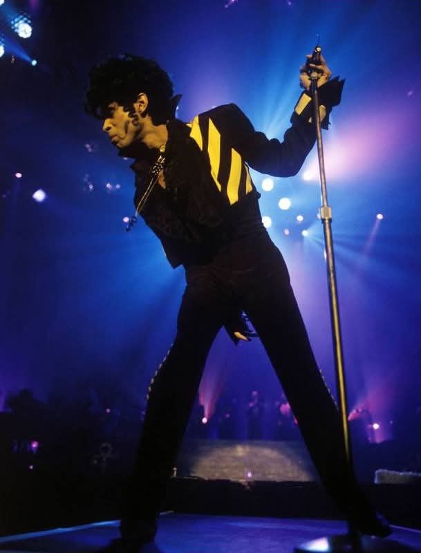 Good Brother Steve tweet media