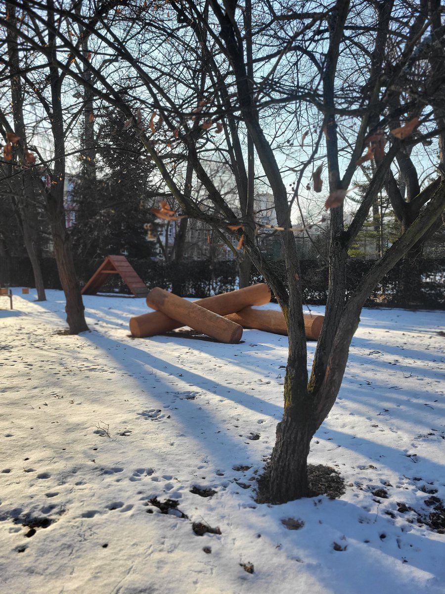 Gotowe! 🐕🌳

Przy Al. Kijowskiej w <a href="/krakow_pl/">Kraków</a> powstało nowe, wyjątkowe miejsce dla wszystkich miłośników czworonogów. Bezpieczny, ogrodzony wybieg dla psów połączony z przyjazną, ogólnodostępną strefą relaksu. 🐶🐶