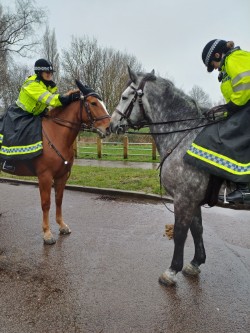 Acocks Green Police tweet media