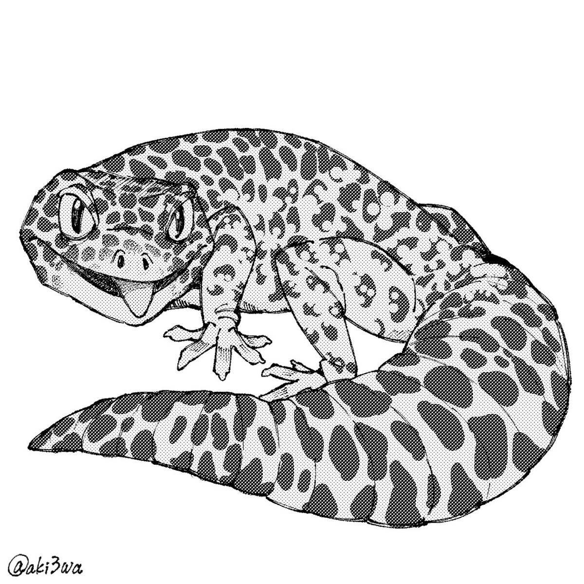 アキサワリョウタ tweet media