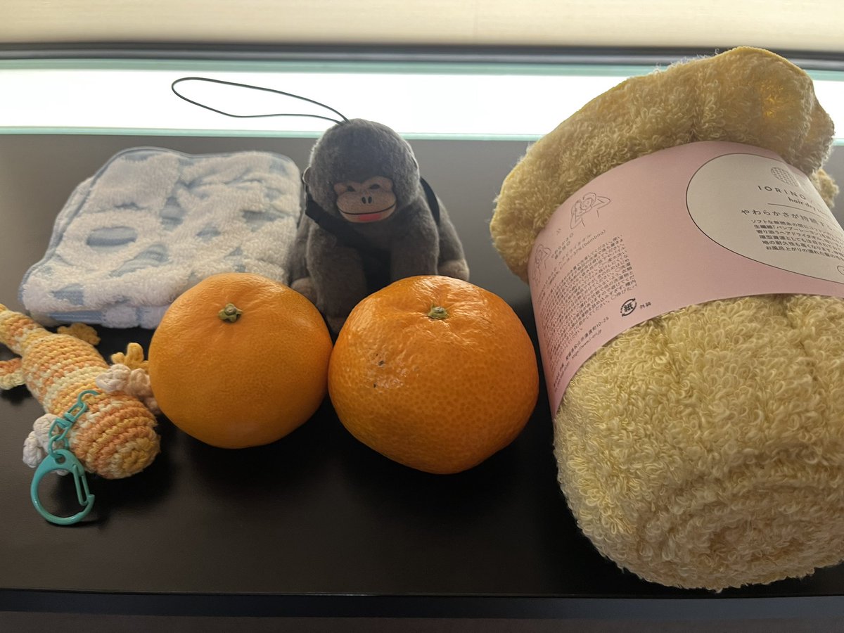 専用❤みかん＊ふわっサラ❤手拭いヘアドライタオル❤濃にゃんこフェイス 新潟サポ愛媛遠征 本日の成果 今治タオルの被るヘアドライタオル 今治