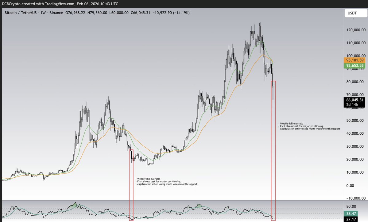 Dead Cat Bounce tweet media