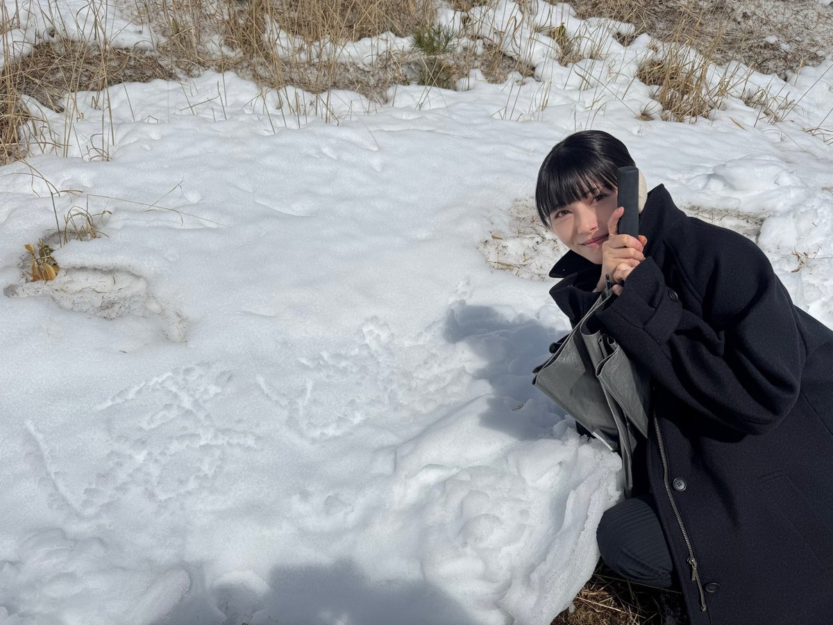 浜辺美波 tweet media