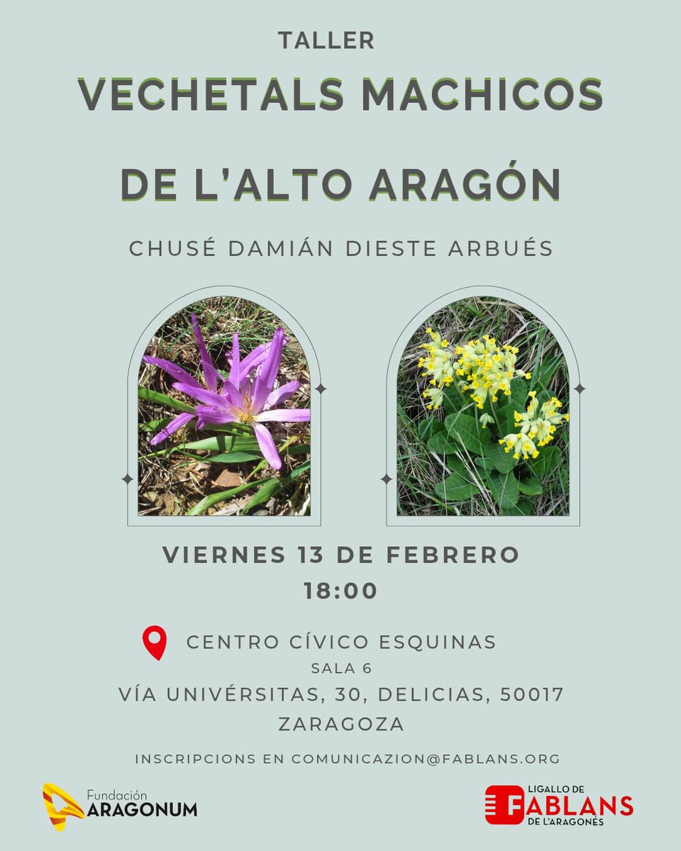 Ligallo de Fablans de l'Aragonés tweet media