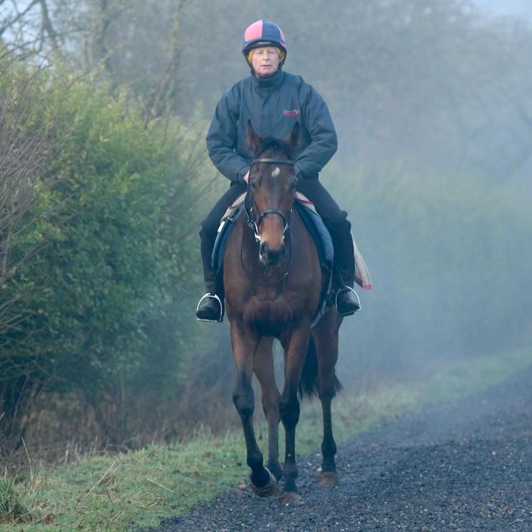 olivercoleracing tweet media