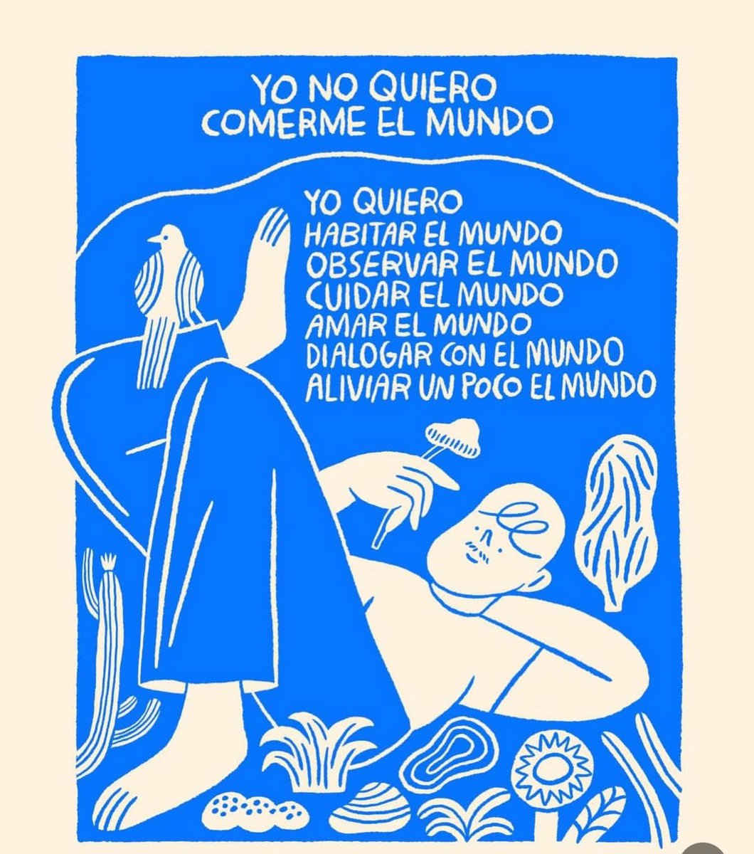 Para_sieempre's tweet image. 🩵