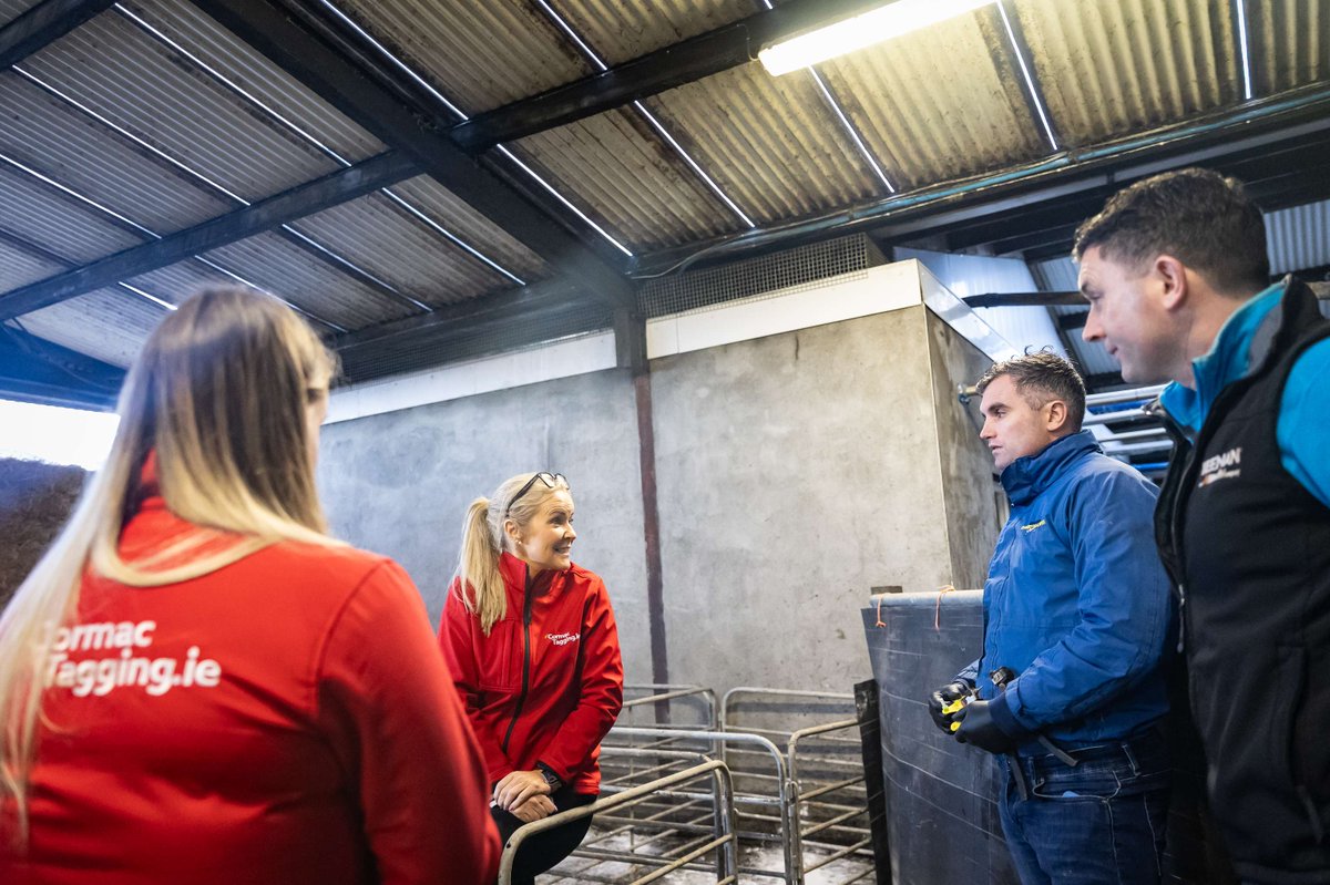 Cormac Tagging 🐄🐏 🏷 tweet media