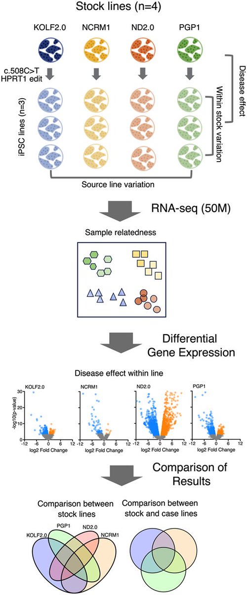 STEM CELLS Translational Medicine tweet media