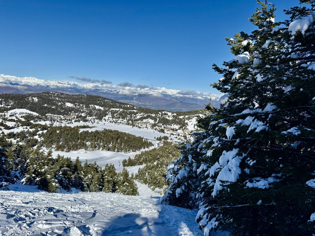 Lionel Tivoli tweet media