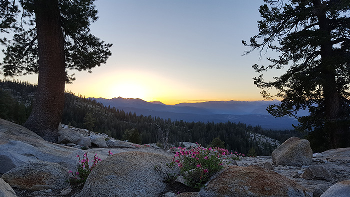 GeoffHoesch's tweet image. Ansel Adams Wilderness Area - View from the tent. Taken a few years ago. Have a wonderful Friday!

#AnselAdamsWilderness #NaturePhotography #MountainViews #CampingLife #ExploreMore #FridayFeeling