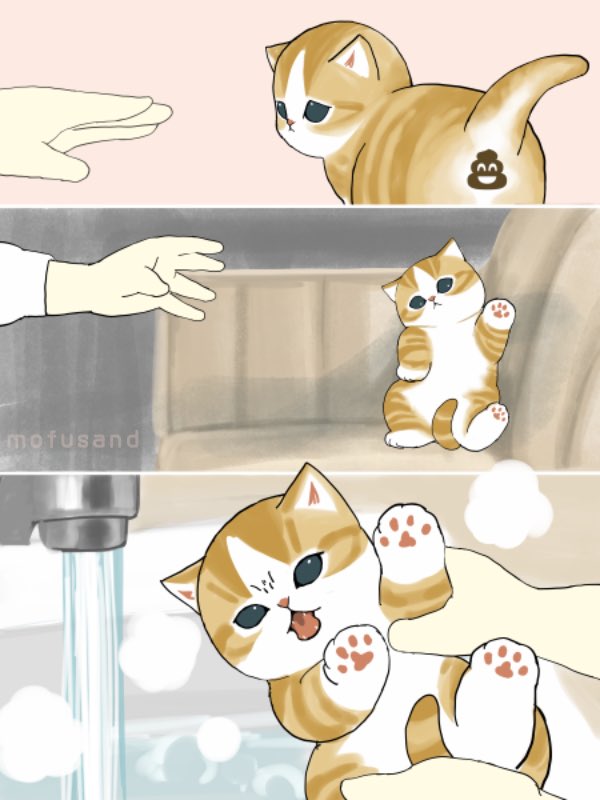 ぢゅの🐈 (@mofu_sand) / Posts / X