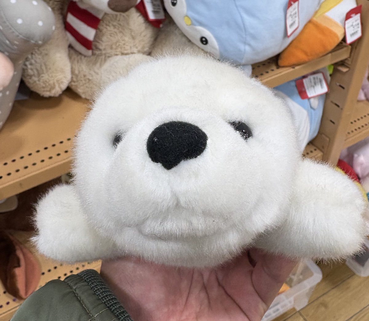 お、おまえ〜！