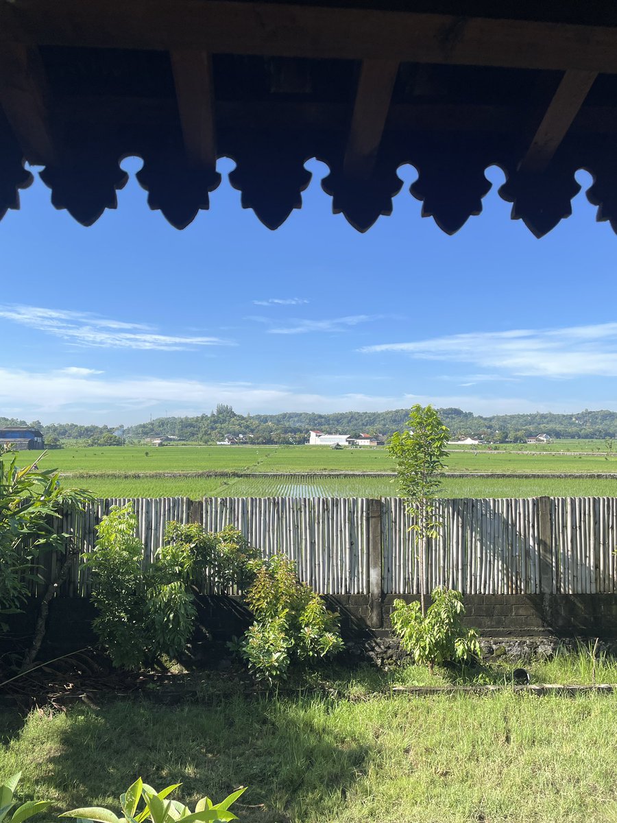 jangankan bule, gua aja kalo liburan nyari airbnb yang di deket sawah soalnya gue se-happy itu liat sawah I LOVE SAWAH