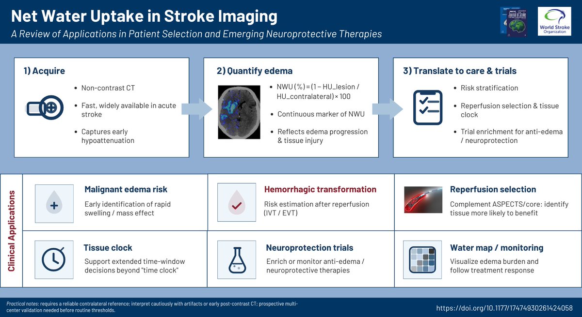 International Journal of Stroke tweet media