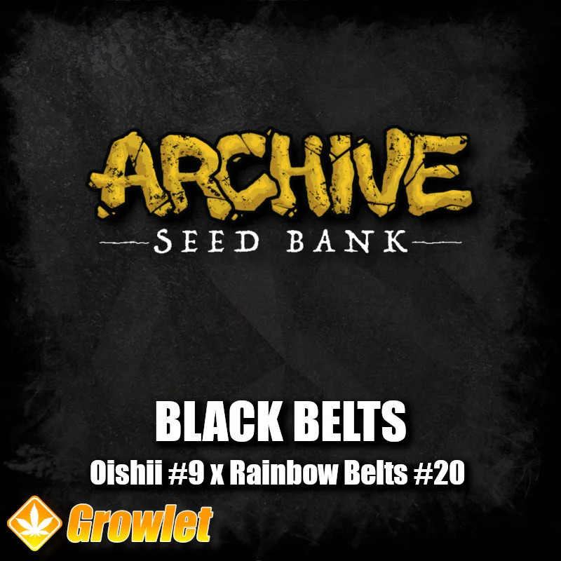 GrowletGrowShop's tweet photo. Archive seeds is in da house 😎

#growlet

#growlet_grow

#archiveoregon

#archiveseeds

https://t.co/3POAArmXjl https://t.co/JHKkjRrYdw