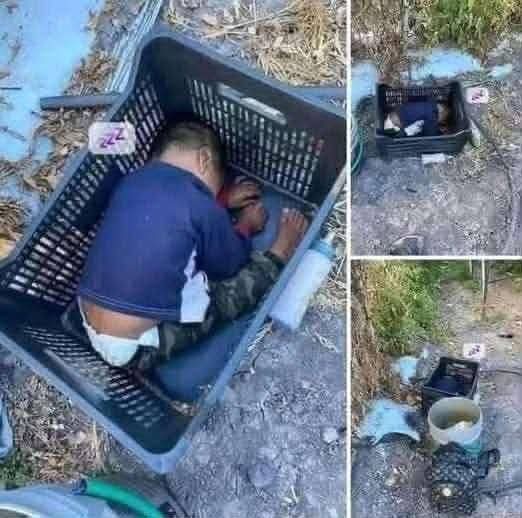 أليس هذا حرام يا عرب ي مسلمين 💔
يحدث كل هذا لأطفال غزة ونحن جالسين نتفرج عليهم ، و الكرامة العربية، و الغيره العربيه،