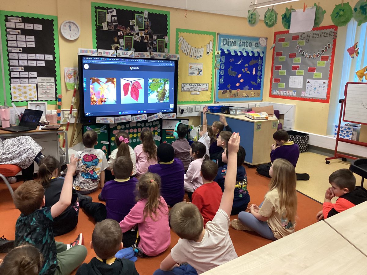 NantCelynY3's tweet photo. Dosbarth Redwood &amp; Yew love discussing ‘Would you rather’ or ‘Zoom in, Zoom out’ questions on Explorify and expressing our ideas and giving reasons why before dinner time!
@nantcelynschool https://t.co/rP4i9zL8Qy