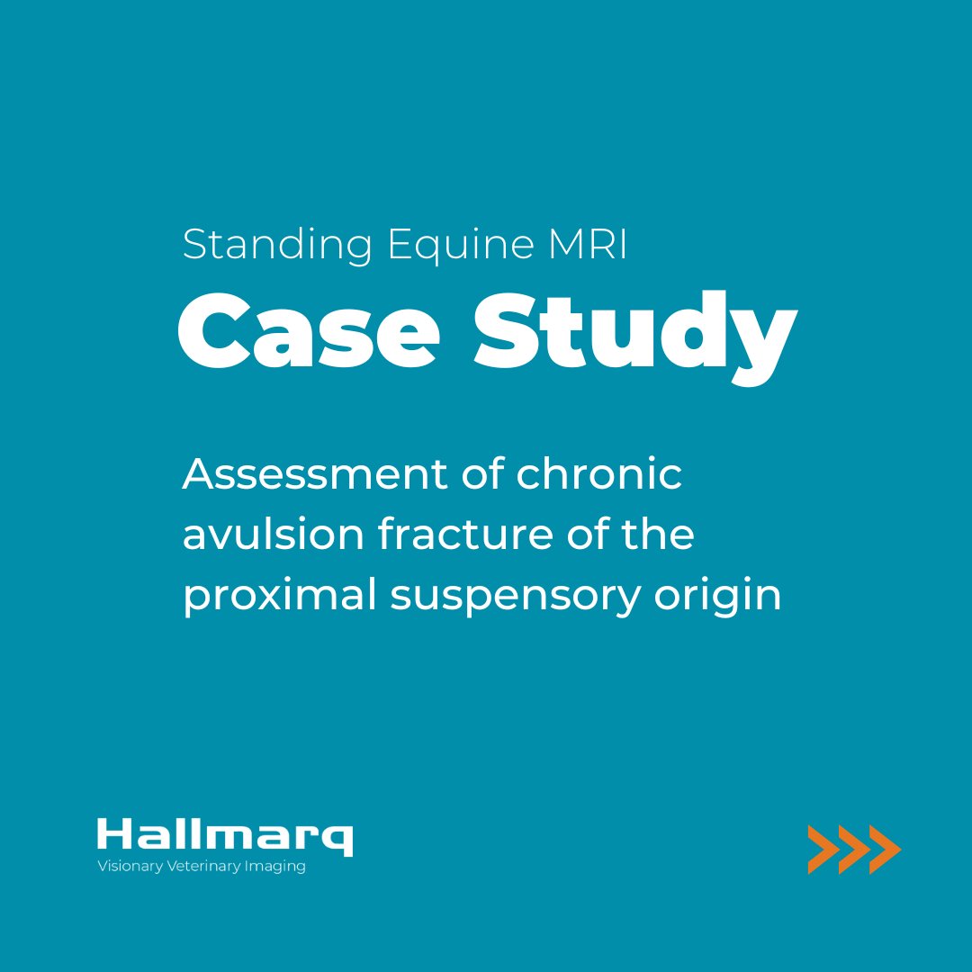 Hallmarq Veterinary Imaging tweet media