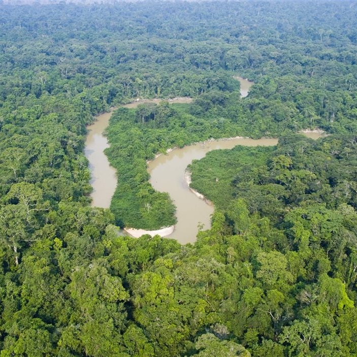 🇸🇪🙌🌳 IL A ACHETÉ ENVIRON 160.000 HECTARES DE FORÊT AMAZONIENNE ET A IMMÉDIATEMENT ARRÊTÉ TOUTE EXPLOITATION POUR LA PROTÉGER.

En 2005, Johan Eliasch, milliardaire suédois et ancien PDG de Head (marque d’équipements de ski), a réalisé l’un des plus grands achats privés de forêt