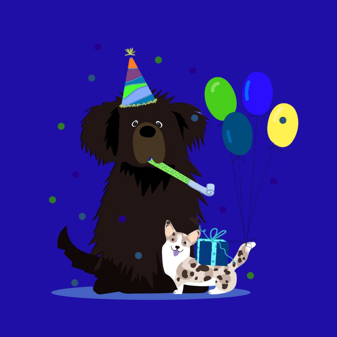 KeyburyFS's tweet image. It's our birthday! This week, we celebrate 44 years in business.

#birthday #officedogs #businessbirthday