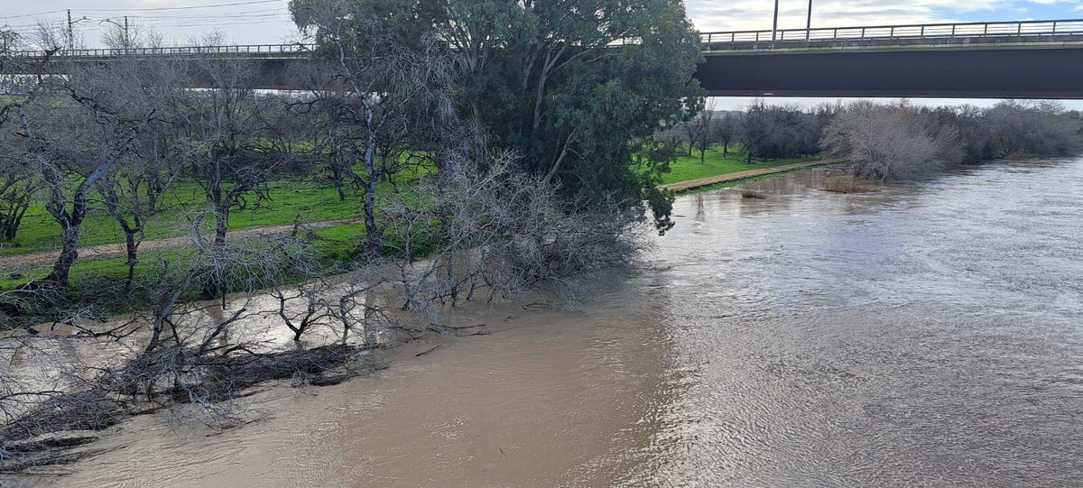 El Guadalquivir en Tablada. Salvar de la especulación esta llanura aluvial es vital para Sevilla y las localidades ribereñas. Llamamos a las administraciones a la creación de un Consorcio Público para una #TabladaVerdeyPública <a href="/mitecogob/">Transición Ecológica y Reto Demográfico</a> <a href="/AndaluciaJunta/">Junta de Andalucía</a>  <a href="/Ayto_Sevilla/">Ayuntamiento de Sevilla</a>  <a href="/DIPUSEVI/">Diputación de Sevilla</a>