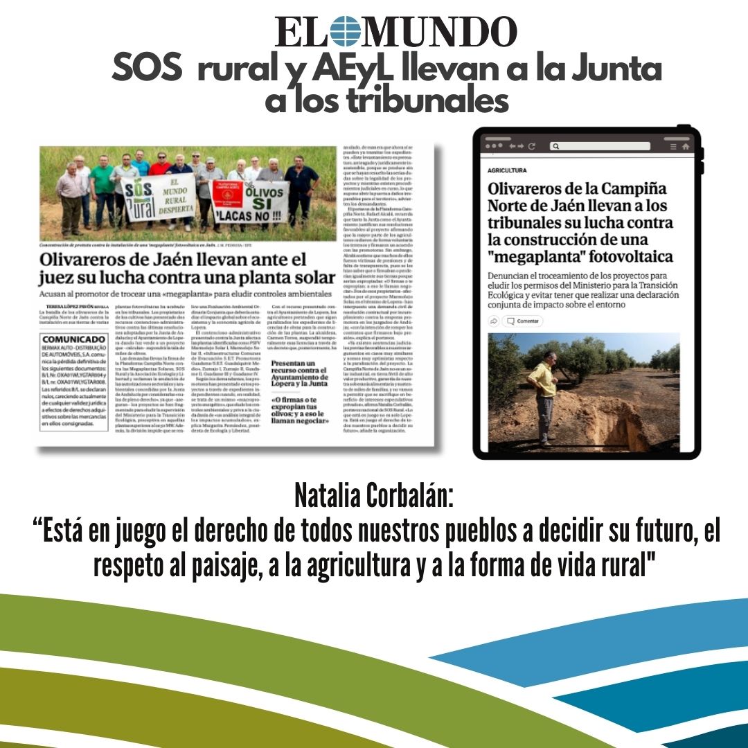 SOS_Rural's tweet photo. El Mundo: Olivareros de la Campiña Norte de Jaén llevan a los tribunales su lucha contra la construcción de una "megaplanta" fotovoltaica https://t.co/6O7ZqE2Eyy https://t.co/X0uPuyQcao