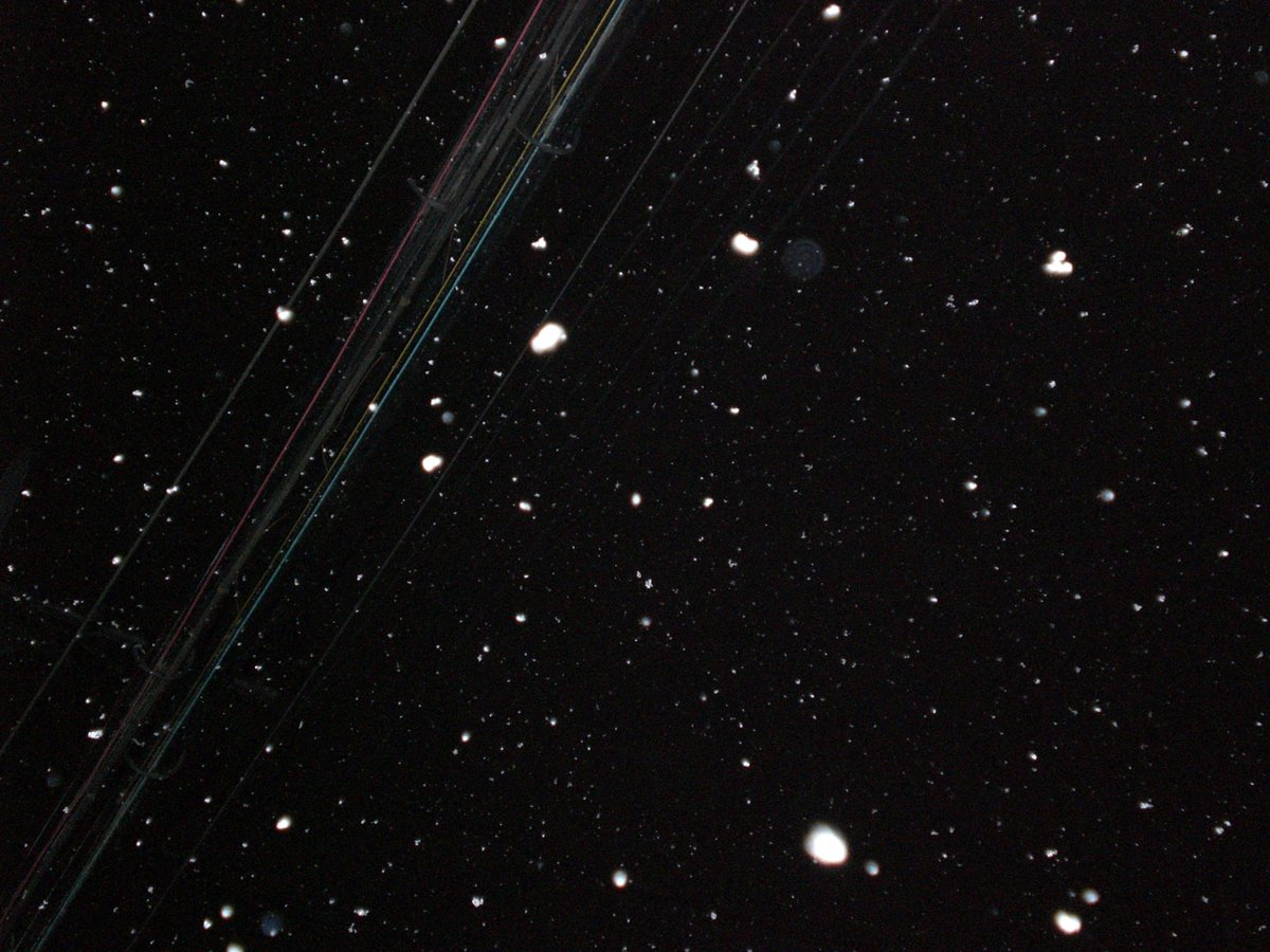 fromursummer's tweet image. #일상계트친소 #일상계_트친소
사진 찍고 글 읽고 게임하고 무언가를 그리고 또 누군가를 좋아하며 살아요 피드 보고 성향 맞는 분께 찾아갑니다 🫶🏻