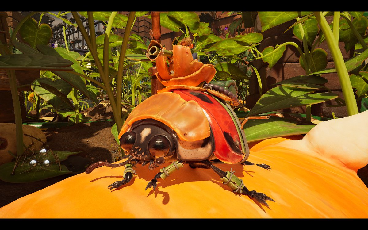 Jamie Dalzell tweet media