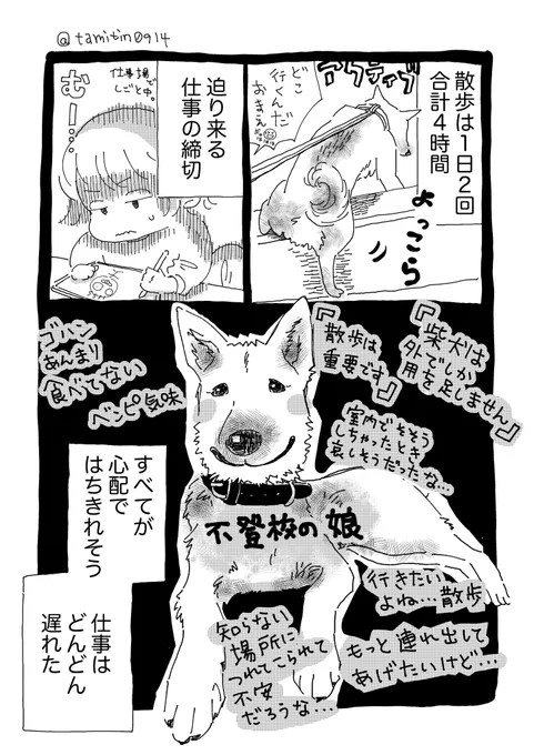 日記まんが
柴犬と暮らした10日間 その③
(1/5) 
