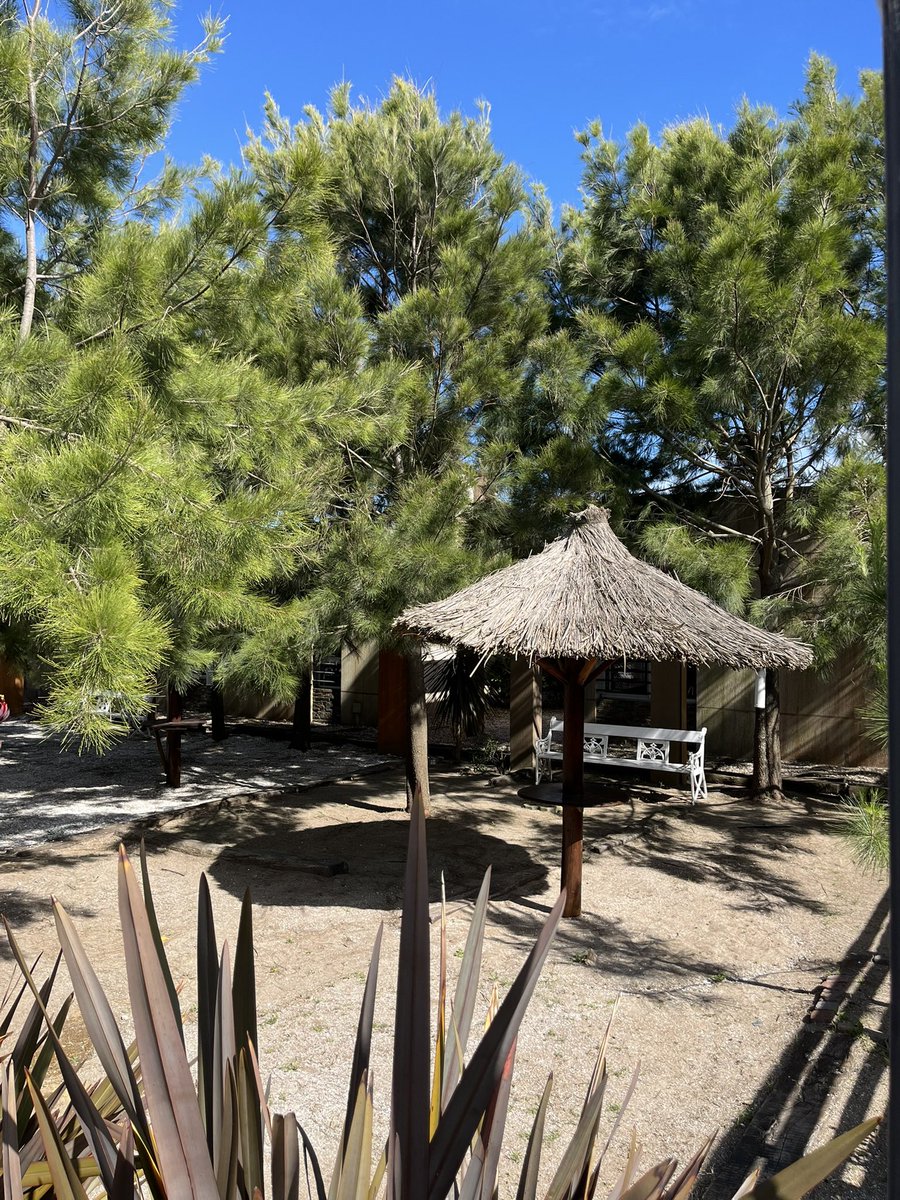 m_penacca's tweet photo. 🏝️ Buenos días! 

Me quedó un duplex para este finde, sería sábado y domingo completo, con posibilidad de salir el lunes temprano, si es que así lo prefieren, ideal para los que buscan escaparse un finde a la costa 😎

🤯 Las 2 noches quedan a tan solo $100.000, no existe!!! https://t.co/DGgrJwY3ht