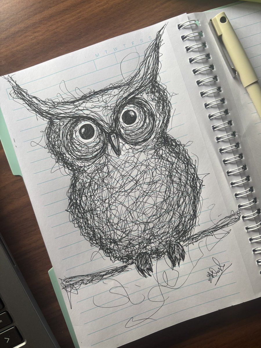 drew an owl or my current mental state :’)