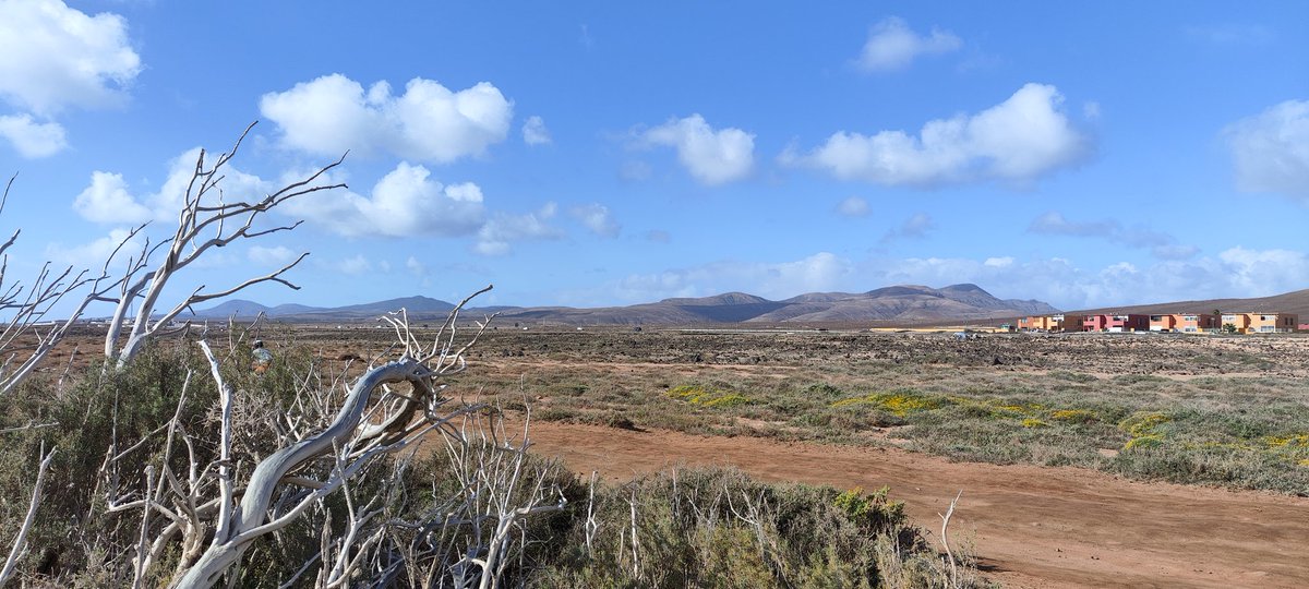 travelbeauty8's tweet image. A nice warm sunny day here in Fuerteventura 🇪🇸 
Certainly beats the rain in England ! #travel #WinterSun