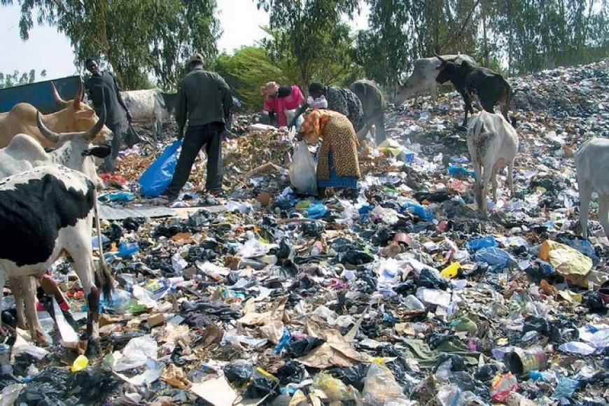 Environmental Education and Youth Empowerment/EEYE tweet media