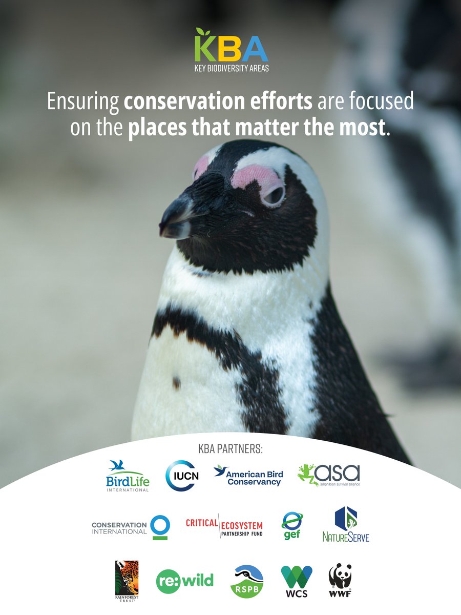 Key Biodiversity Areas tweet media