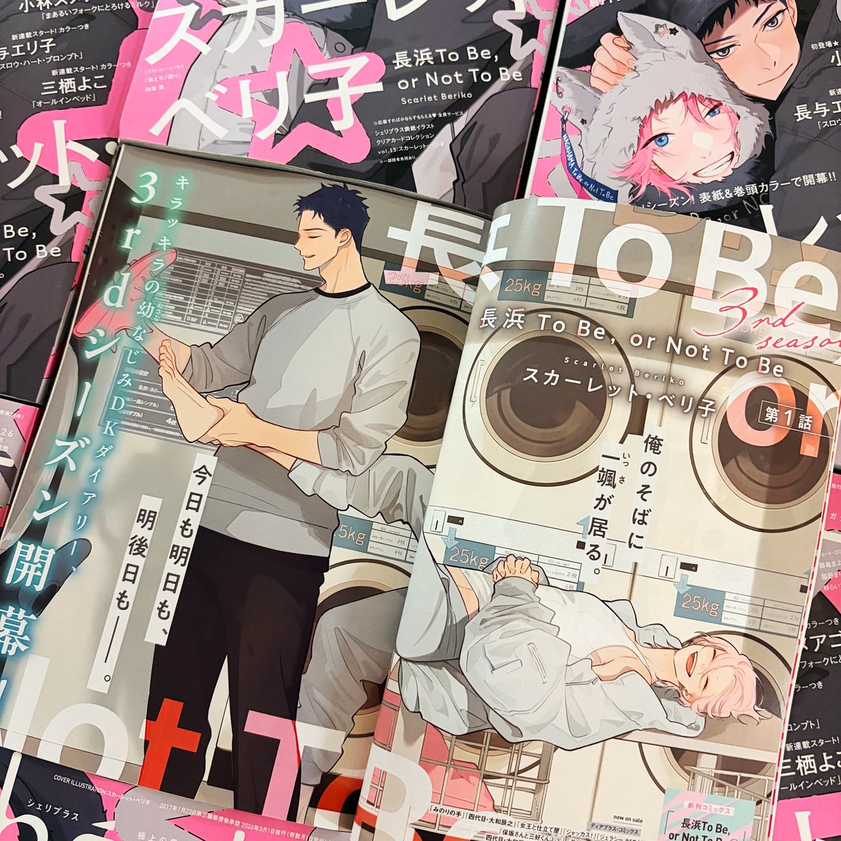 スカーレット・ベリ子 scarlet beriko (@scaberix) / Posts / X