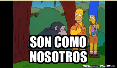 ing. gorilon (@goriladelanus) on Twitter photo 