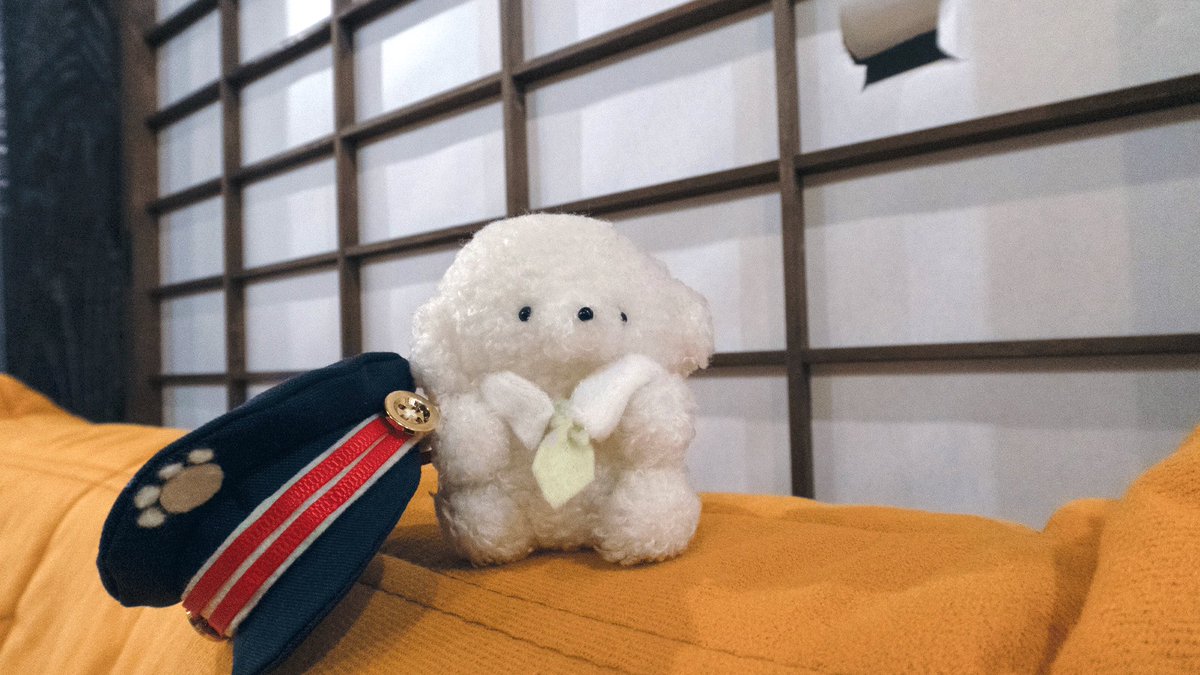 じょせまる (@josemaru_model) / Highlights / X