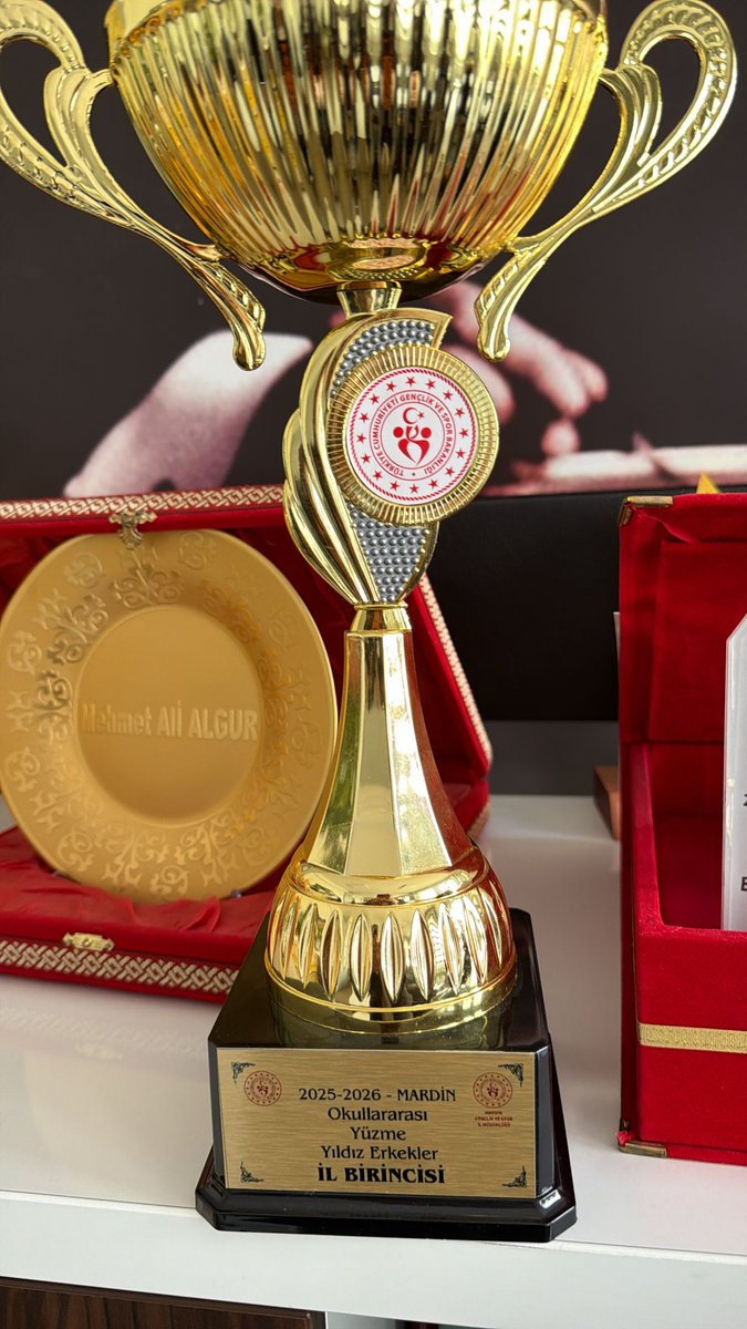 Okulumuz 2025_2026 Mardin Okullararası Yüzme Yıldız Erkekler İl Birincisi  Oldu. Öğrencilerimizi ve desteğini  esirgemeyen öğretmenlerimizi tebrik ederiz.