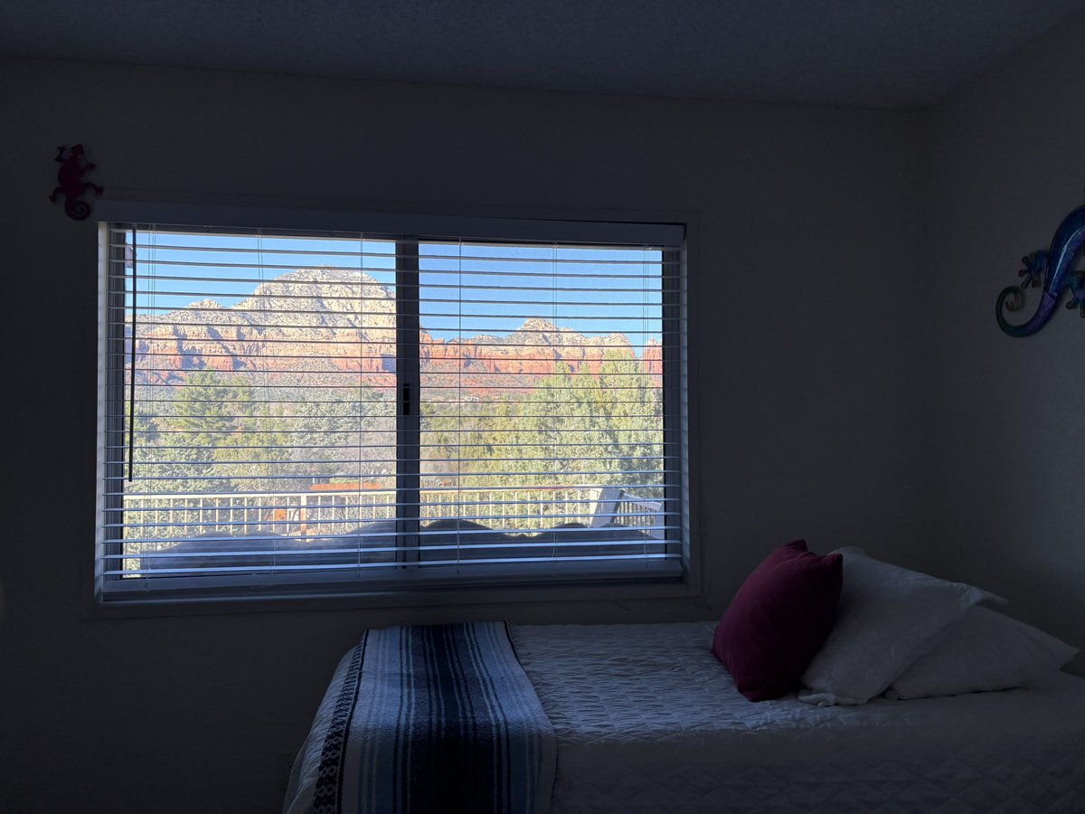 早く🧑‍🚀不変👼になりたいめぐもんじゃー🍏 tweet media