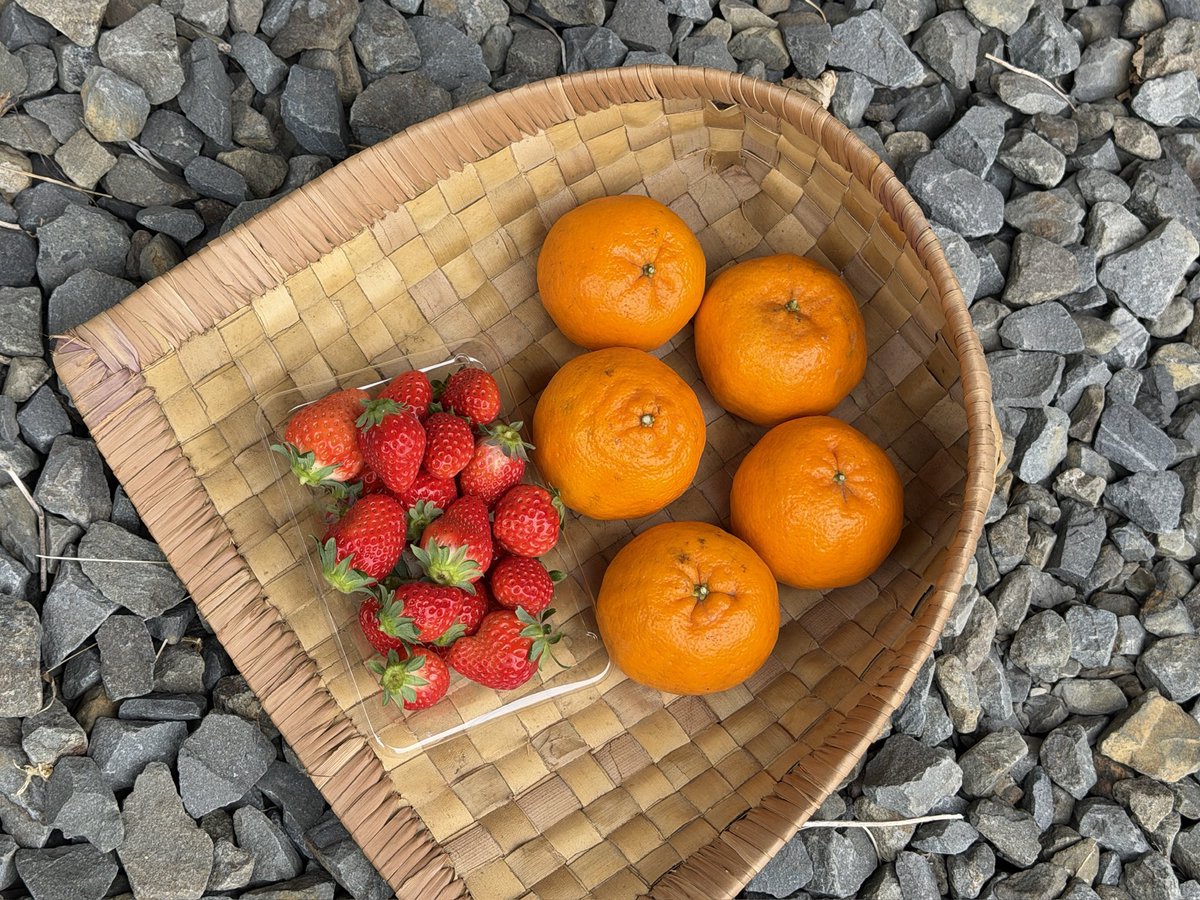 2月6日
【フルーツセット】
ぽんかん1kg(5〜6玉)
いちご(大きさ不選別)

【野菜セット】
かぶ☆
ブロッコリー☆
なす☆
にんじん★
大根☆
菊芋★
こまつ菜☆
ほうれん草★
小ねぎ☆

産地記載のないものは、かごしまんま近郊（鹿児島県）産です。

kagoshimamma.com

#九州野菜
#野菜セット