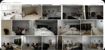 Bearoxdrop tweet media