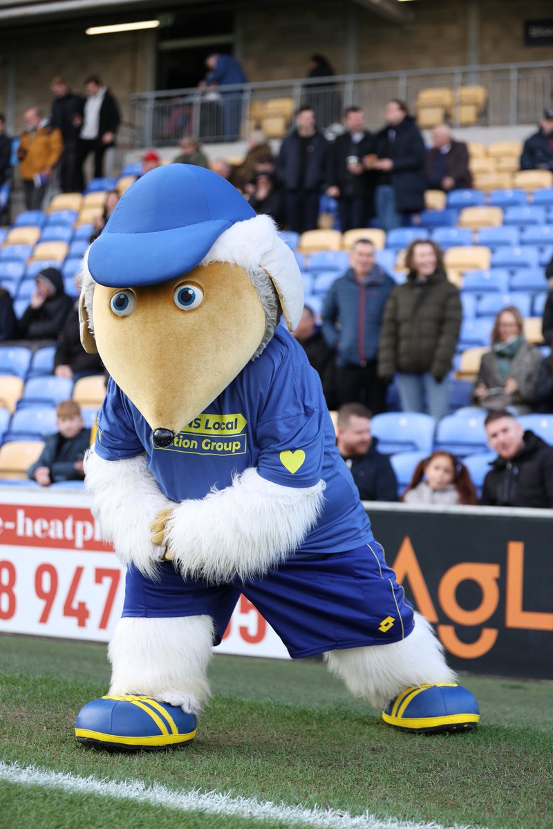 Haydon the Womble tweet media