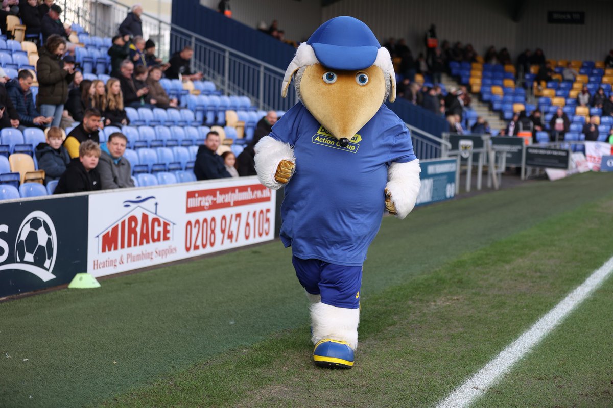 Haydon the Womble tweet media