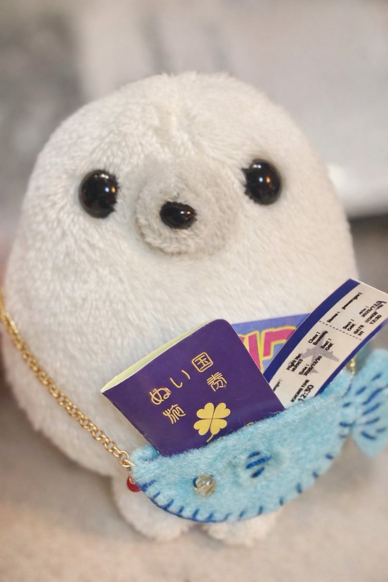midorichou_s's tweet photo. パスポートを手に入れたあざらし✈️ https://t.co/TWdDG6qlBX