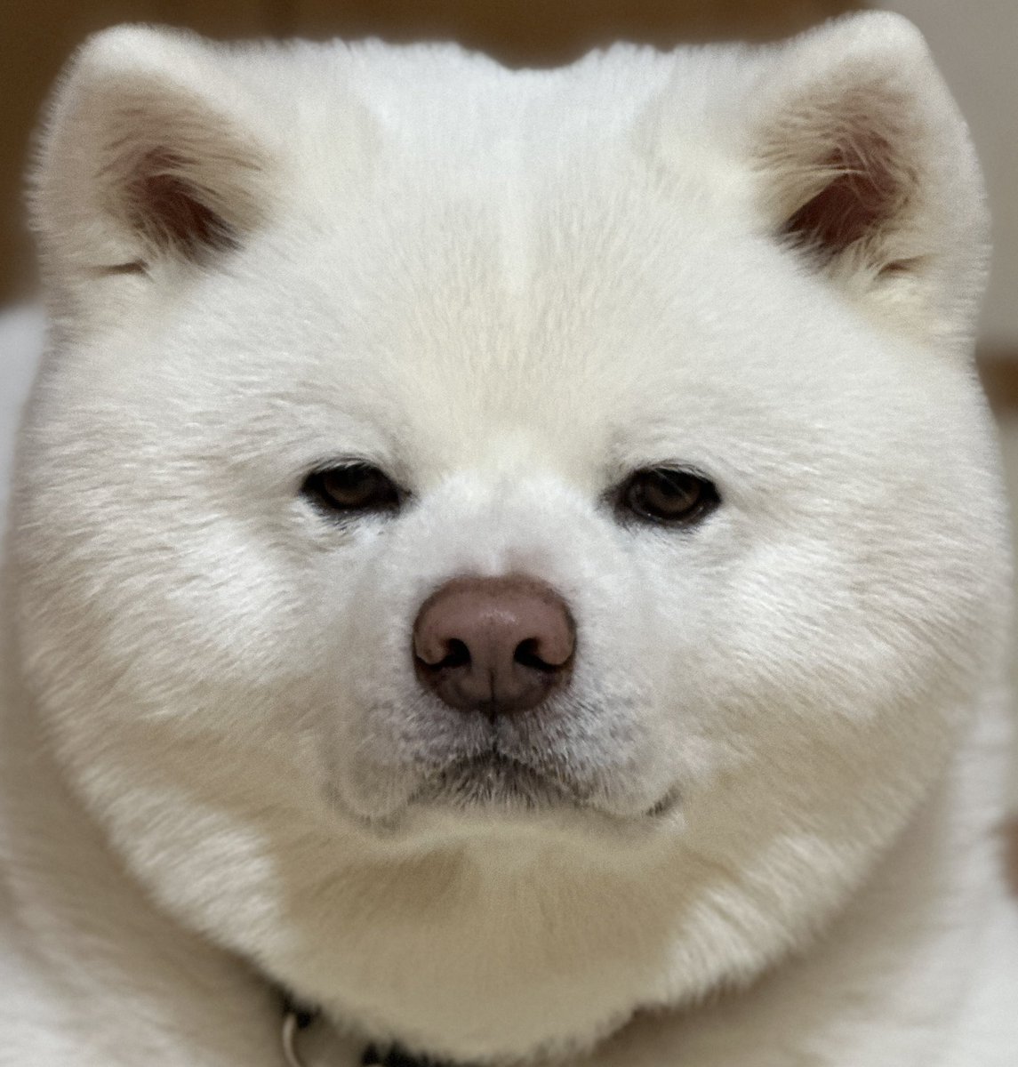 ْ (@65907_30_4) / Posts / X