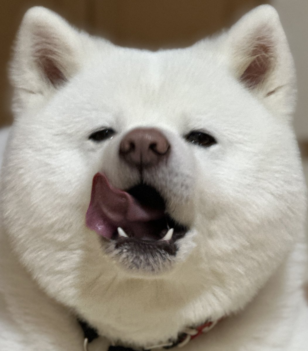 ْ (@65907_30_4) / Posts / X