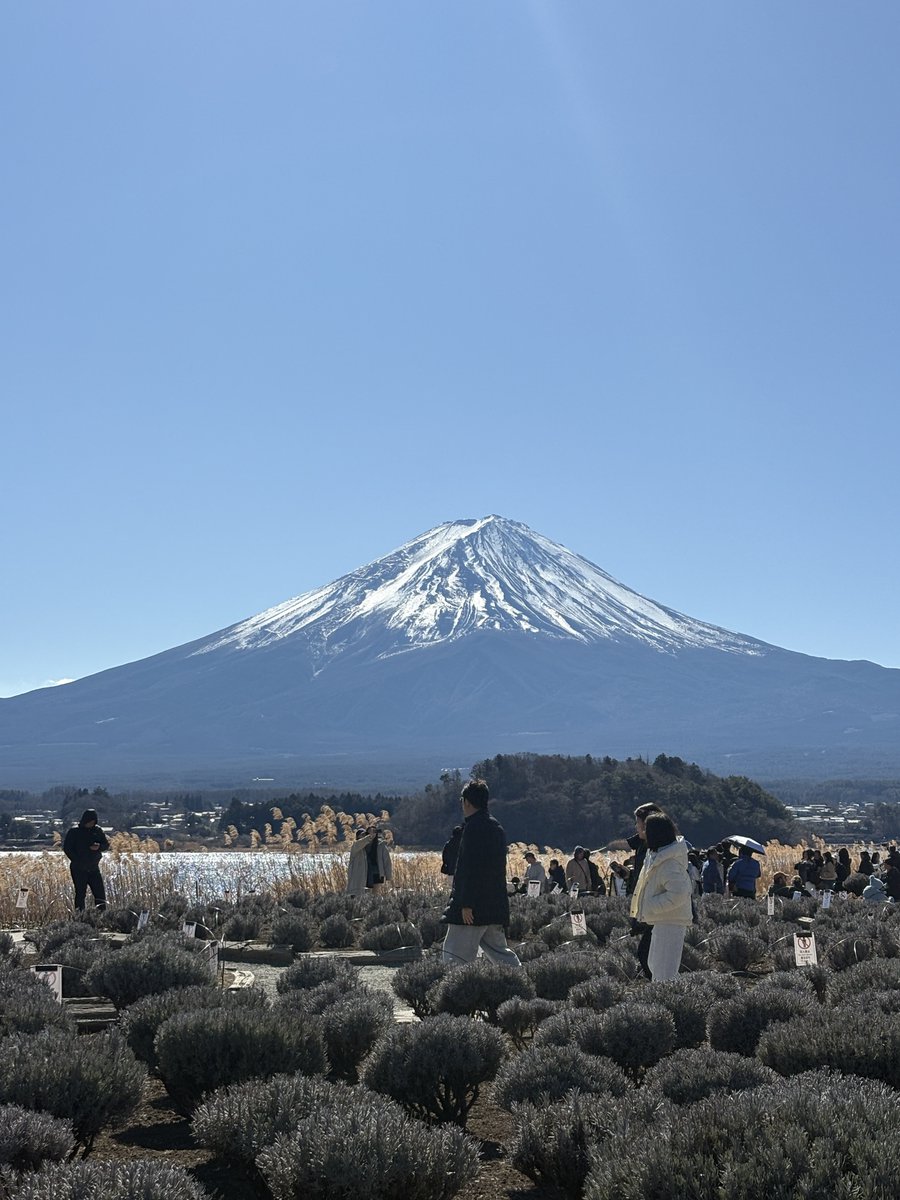 csMiseris's tweet photo. The amount of Mt. Fuji pics I have on my phone is crazy https://t.co/IADROpTJtH