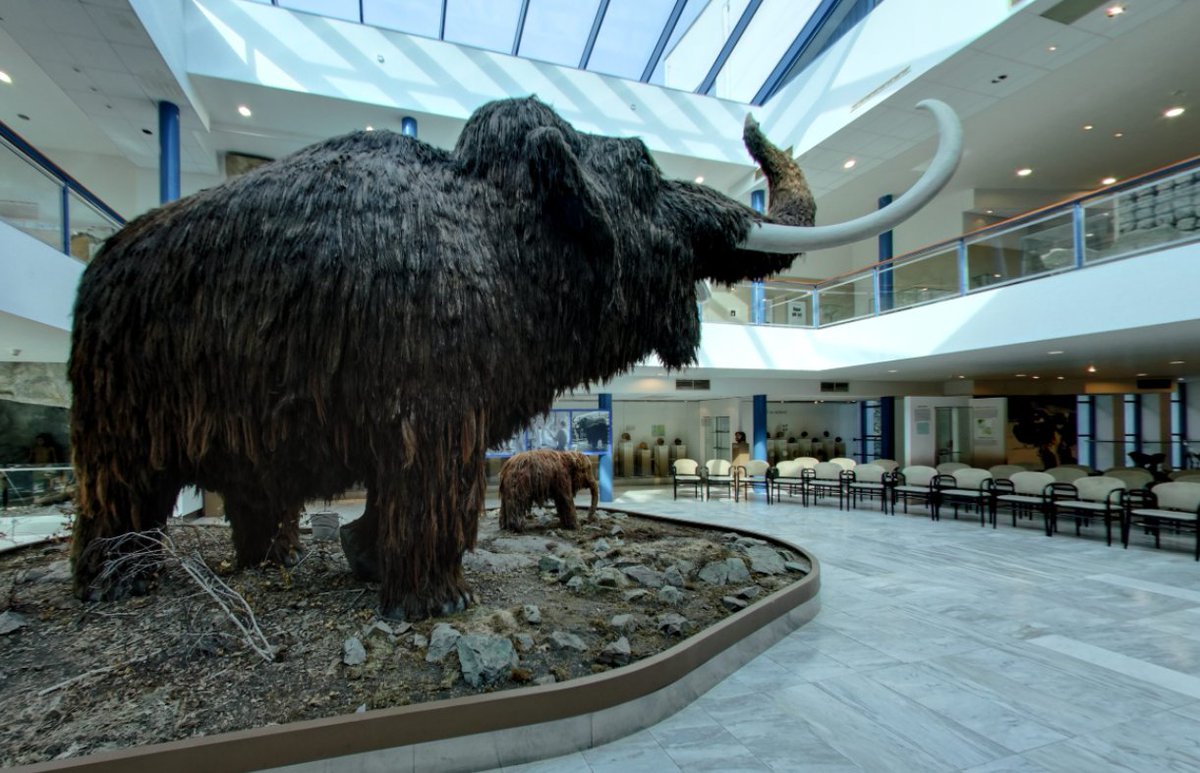 Petr Minařík tweet media