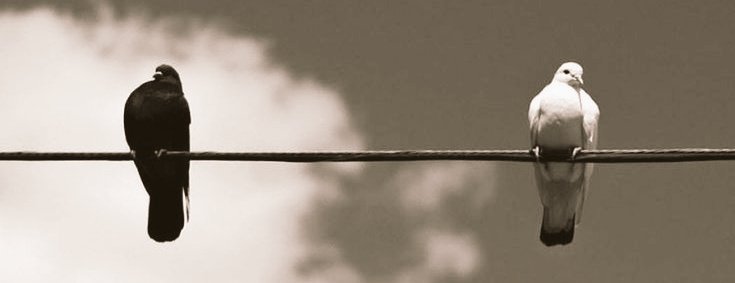 Kalbimin
en ince yerine dokundu bu imtihân.