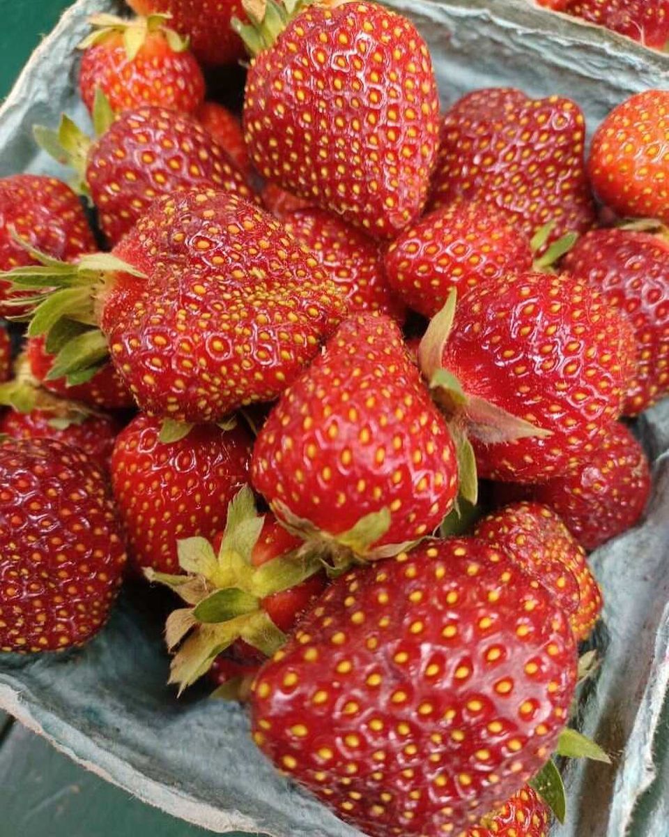 Sundays at the Spa City Farmers' Market-  10 am -2 pm - mailchi.mp/9e5d8785df6e/j…